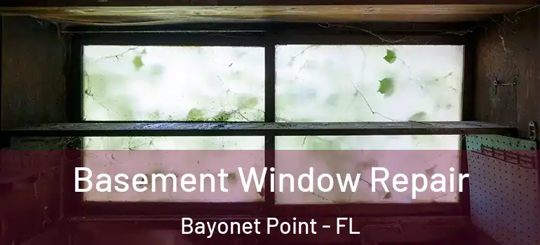 Basement Window Repair Bayonet Point - FL