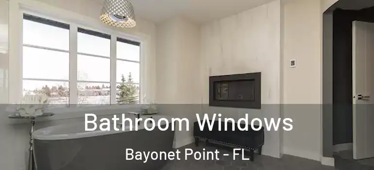 Bathroom Windows Bayonet Point - FL