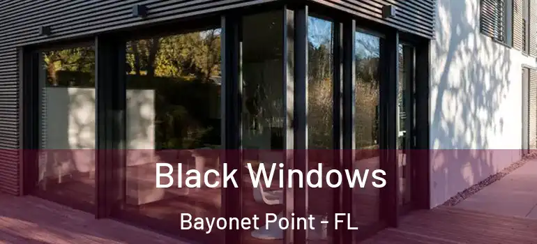 Black Windows Bayonet Point - FL
