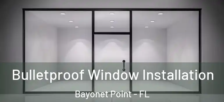 Bulletproof Window Installation Bayonet Point - FL