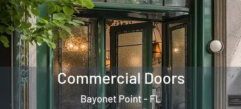 Commercial Doors Bayonet Point - FL
