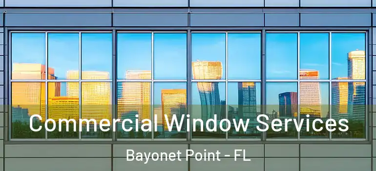 Commercial Window Services Bayonet Point - FL