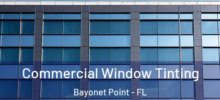  Commercial Window Tinting Bayonet Point - FL