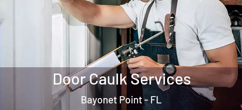  Door Caulk Services Bayonet Point - FL