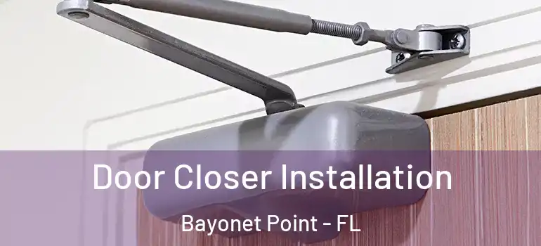 Door Closer Installation Bayonet Point - FL