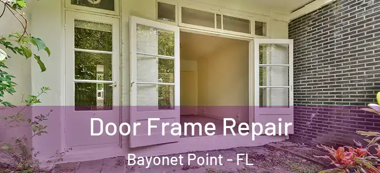 Door Frame Repair Bayonet Point - FL
