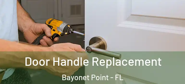 Door Handle Replacement Bayonet Point - FL