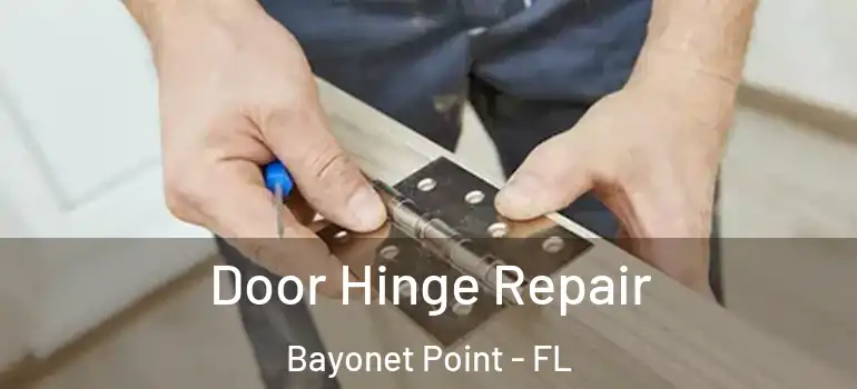 Door Hinge Repair Bayonet Point - FL