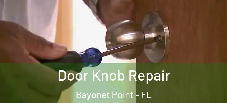 Door Knob Repair Bayonet Point - FL