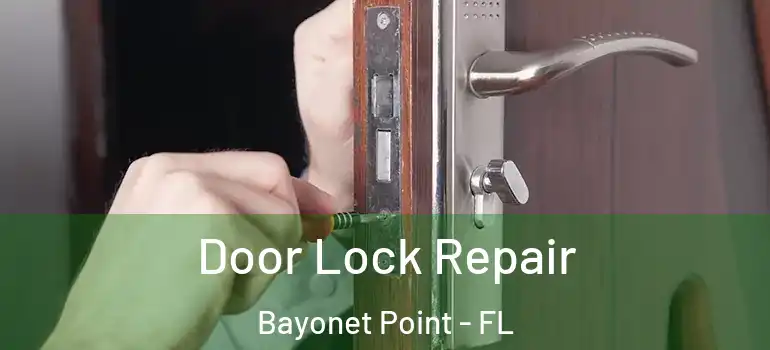 Door Lock Repair Bayonet Point - FL
