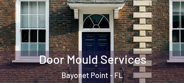 Door Mould Services Bayonet Point - FL