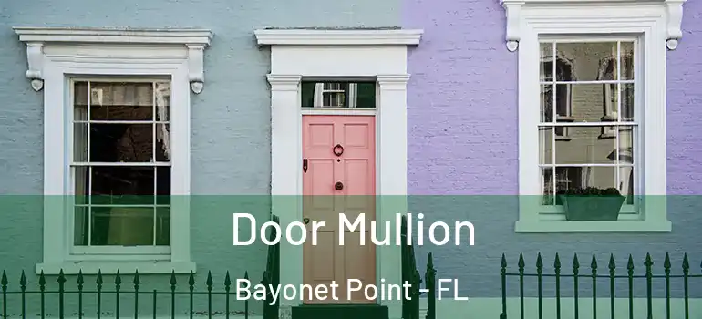 Door Mullion Bayonet Point - FL