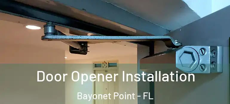Door Opener Installation Bayonet Point - FL