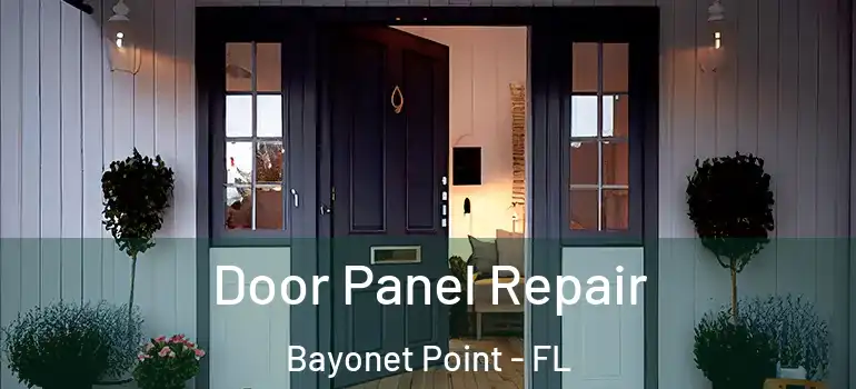 Door Panel Repair Bayonet Point - FL