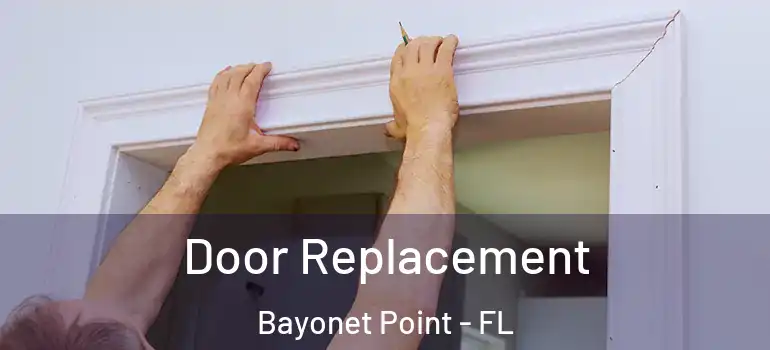  Door Replacement Bayonet Point - FL