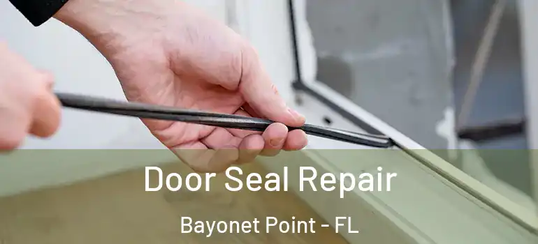 Door Seal Repair Bayonet Point - FL
