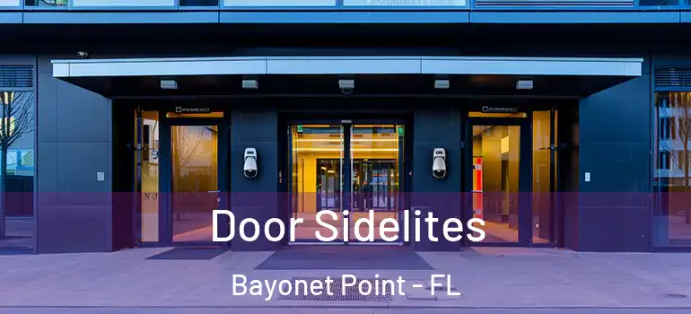 Door Sidelites Bayonet Point - FL