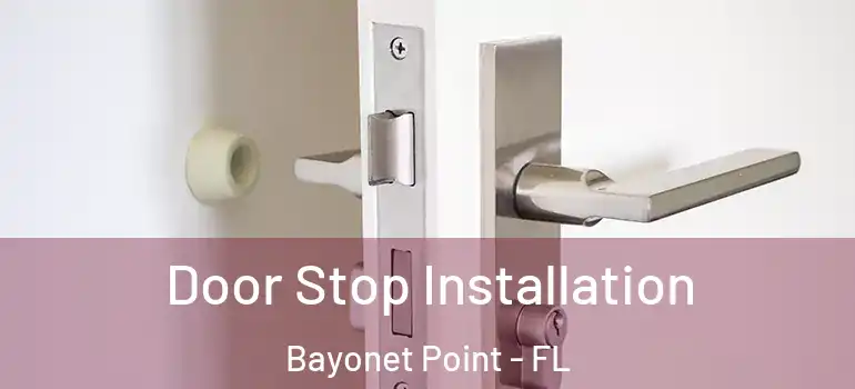 Door Stop Installation Bayonet Point - FL