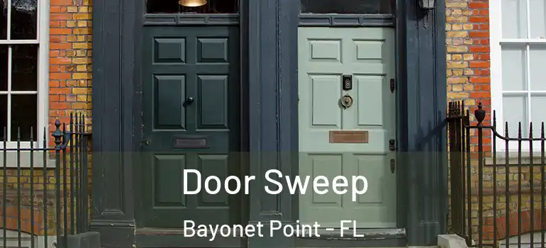 Door Sweep Bayonet Point - FL