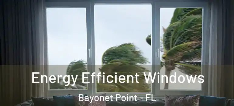 Energy Efficient Windows Bayonet Point - FL