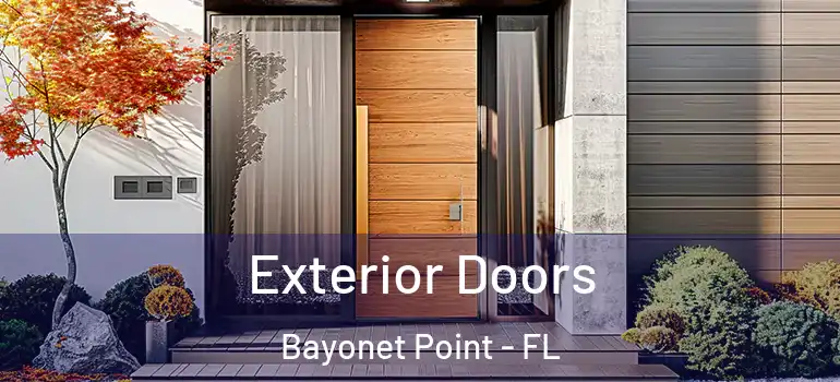  Exterior Doors Bayonet Point - FL