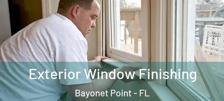 Exterior Window Finishing Bayonet Point - FL