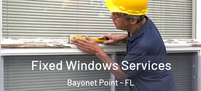 Fixed Windows Services Bayonet Point - FL