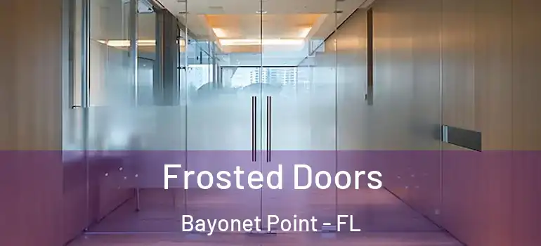 Frosted Doors Bayonet Point - FL
