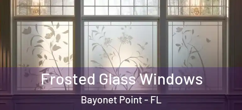  Frosted Glass Windows Bayonet Point - FL