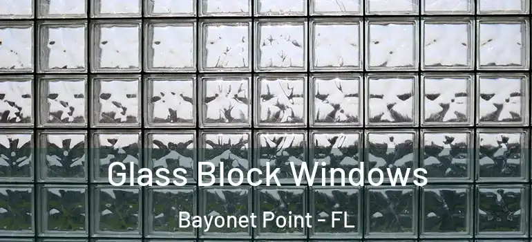 Glass Block Windows Bayonet Point - FL