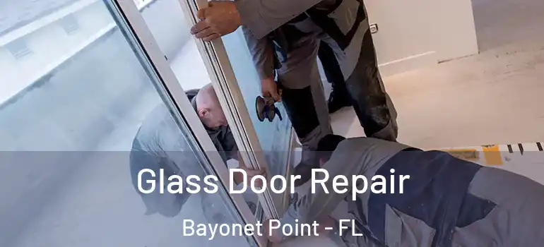 Glass Door Repair Bayonet Point - FL