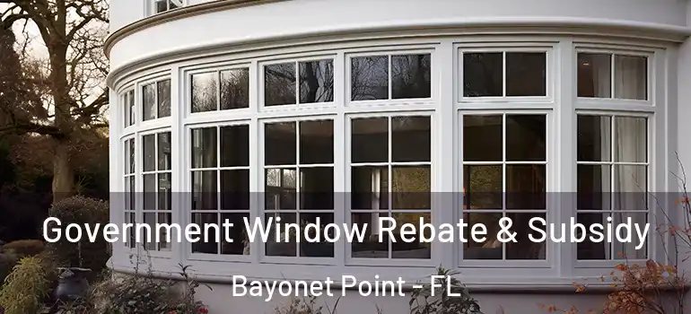 Government Window Rebate & Subsidy Bayonet Point - FL