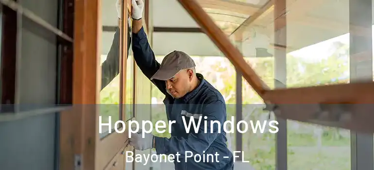 Hopper Windows Bayonet Point - FL