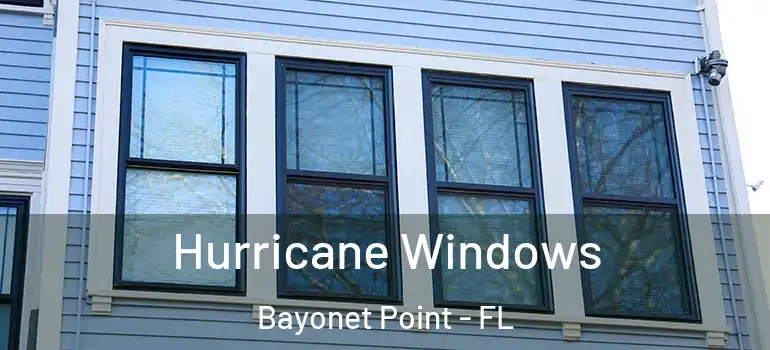 Hurricane Windows Bayonet Point - FL