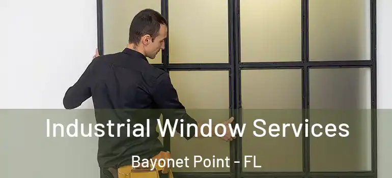 Industrial Window Services Bayonet Point - FL