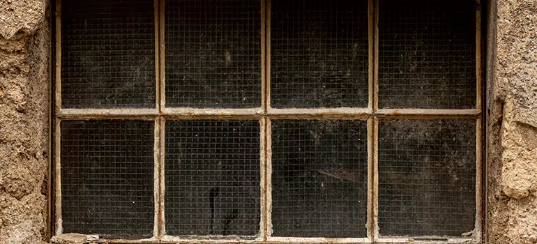 Traditional Double Front Doors in Bayonet Point, FL