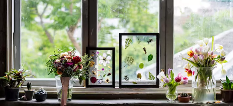 Professional Garden Window Repair in Bayonet Point, FL