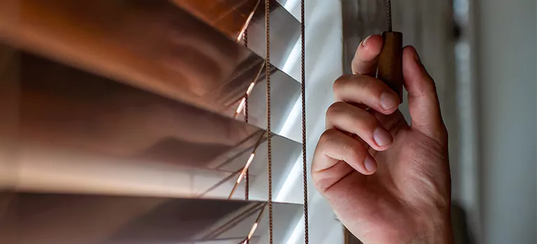 Double Roller Blinds in Bayonet Point, FL