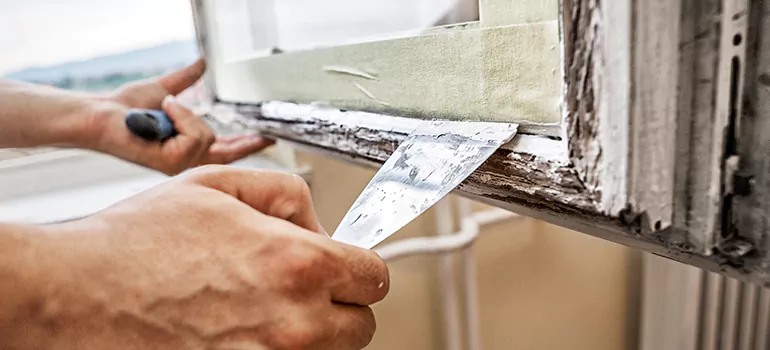 Exterior Window Frame Repair in Bayonet Point, FL