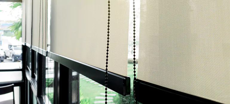 Blackout Window Shades in Bayonet Point, FL