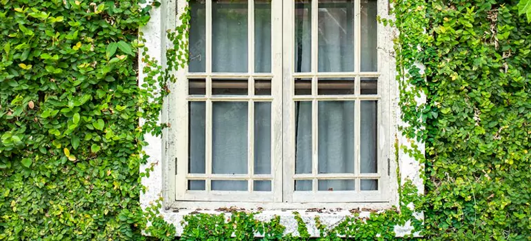 Garden Window Repair Near Me in Bayonet Point, FL