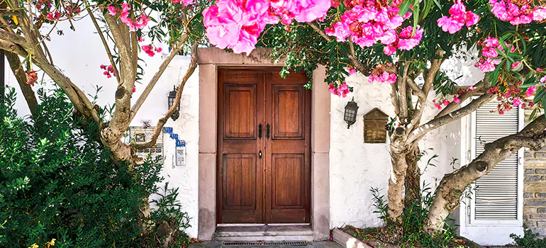 Traditional 4 Panel Internal Doors in Bayonet Point, FL