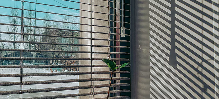 Commercial Window Blinds in Bayonet Point, FL