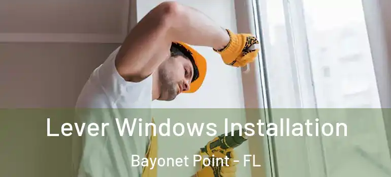Lever Windows Installation Bayonet Point - FL