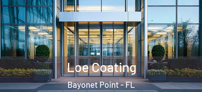 Loe Coating Bayonet Point - FL