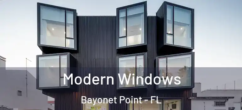  Modern Windows Bayonet Point - FL