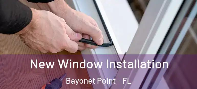 New Window Installation Bayonet Point - FL