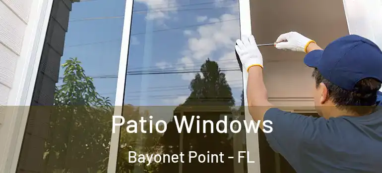 Patio Windows Bayonet Point - FL