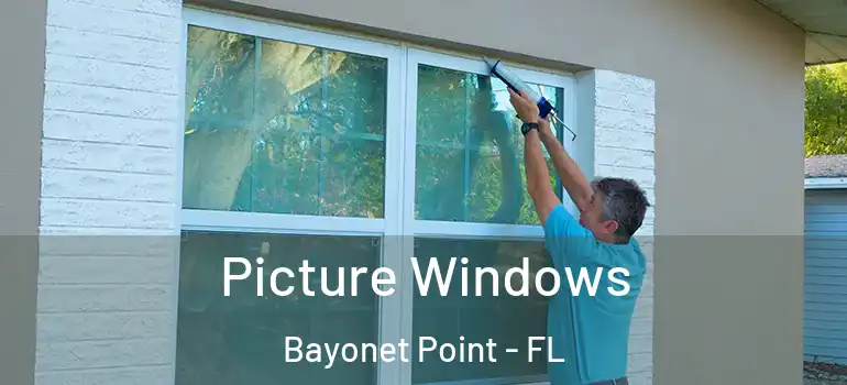  Picture Windows Bayonet Point - FL
