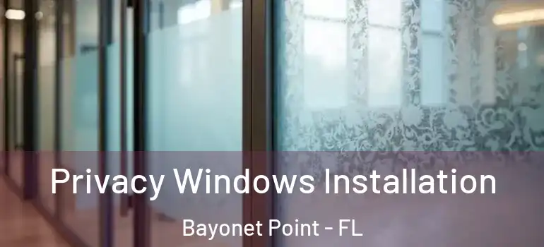 Privacy Windows Installation Bayonet Point - FL